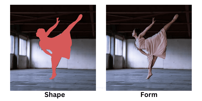shape vs form in art