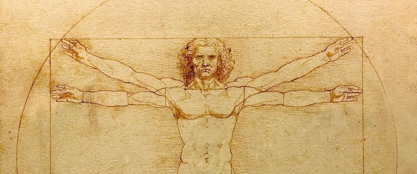 Vitruvian Man by Leonardo Da vinci