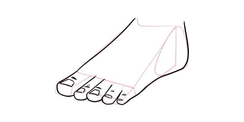 Add Details To Your Drawing Such As Toenails And Wrinkles