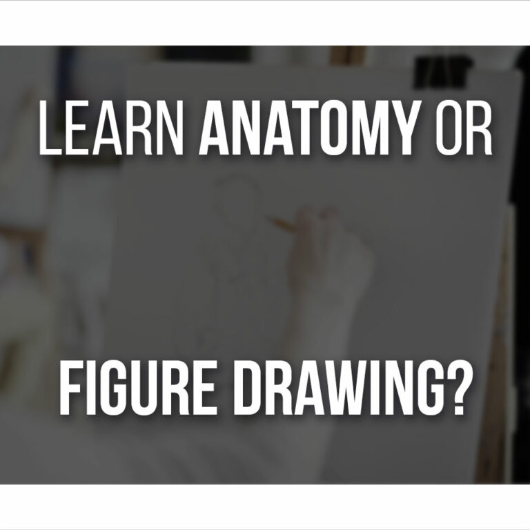 Learn Anatomy Or Figure Drawing cover