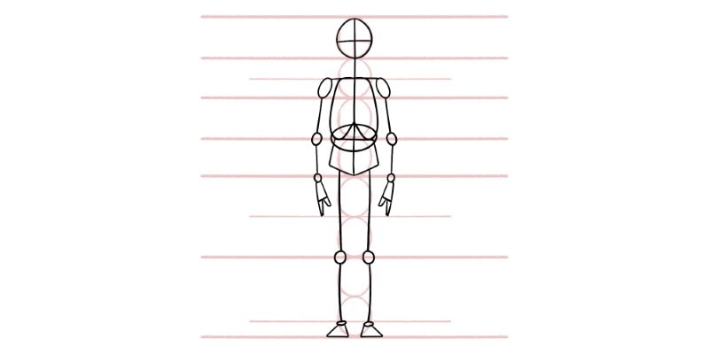 a simple human body proportion template for kids and young artists