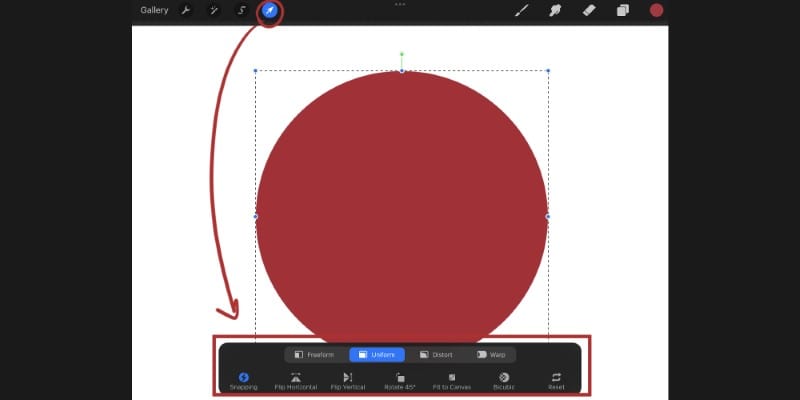 Tap The Move Or Transform Tool At The Top Left Of The Screen To Edit Your Circle