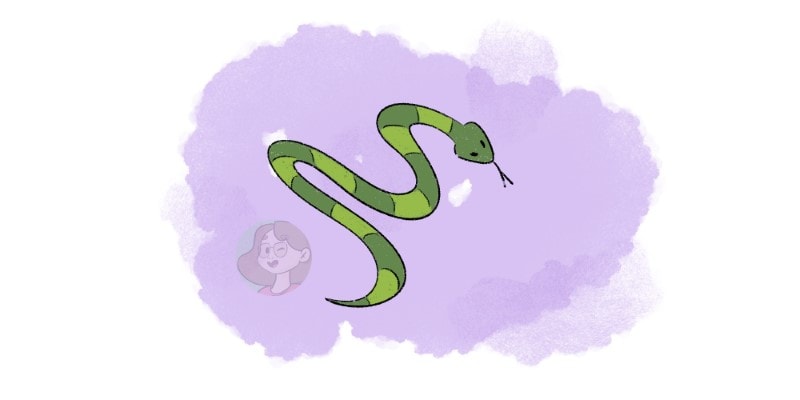 snake drawing