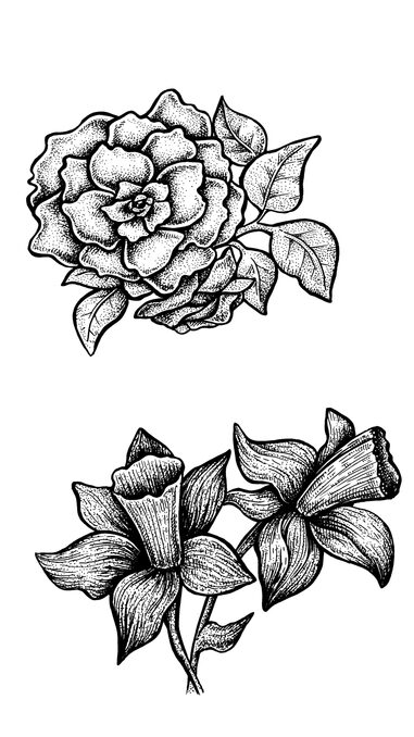 pointilism example drawing of flowers